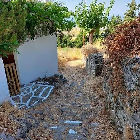 Villa Kos *